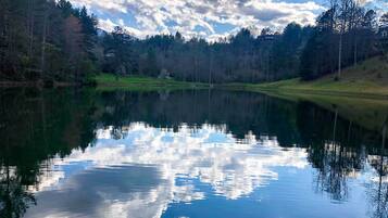 A serene lake surrounded by trees and a clear sky.