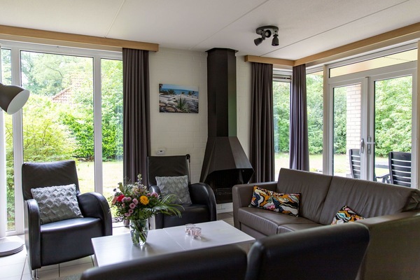 Couch, Eigentum, Pflanze, Fenster, Interior Design, Zimmerpflanze, Schatten, Tabelle, Wohnzimmer, Fussboden