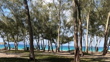 Nära stranden