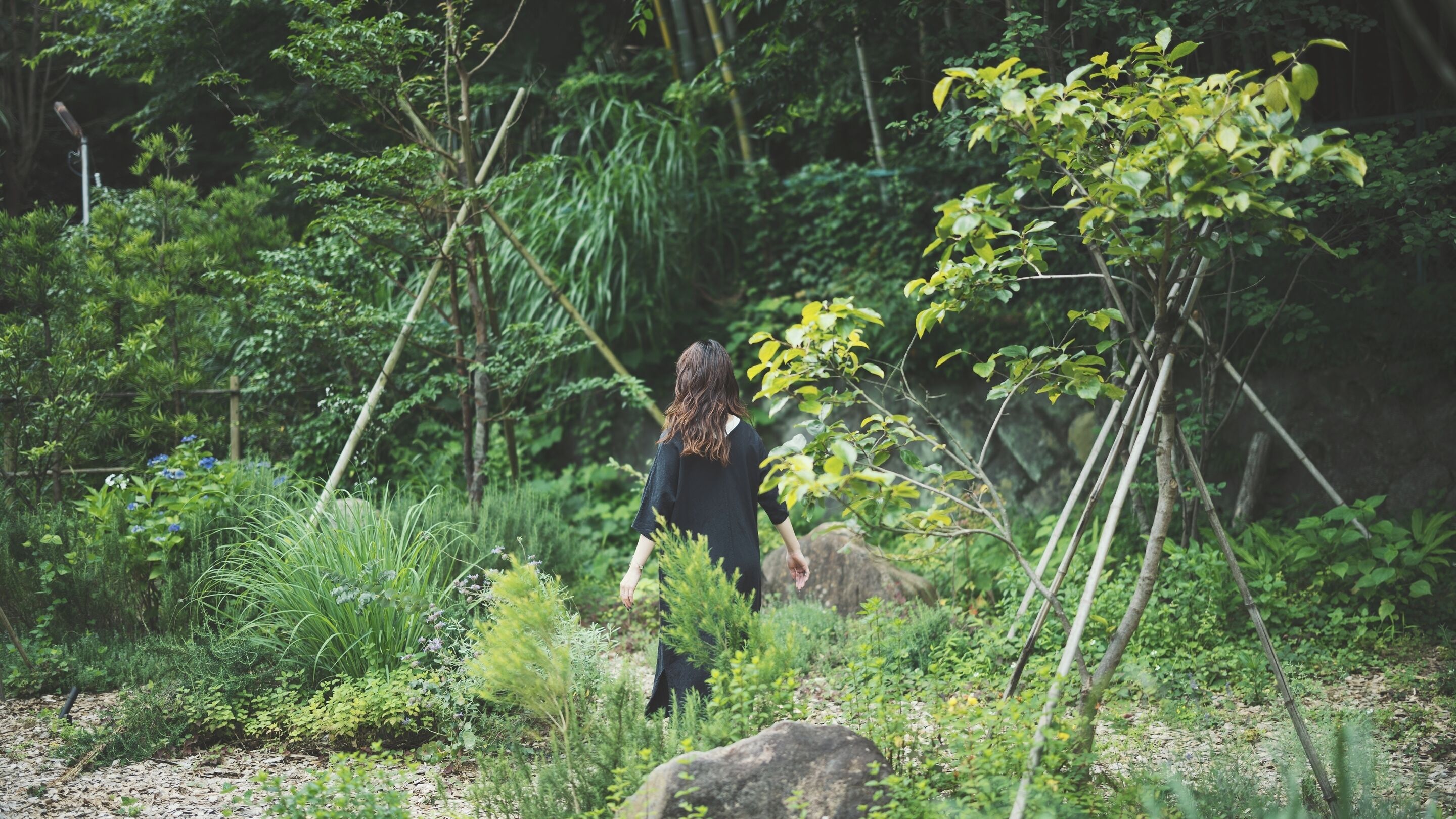Una persona caminando por un área boscosa y exuberante, con densa vegetación y árboles.