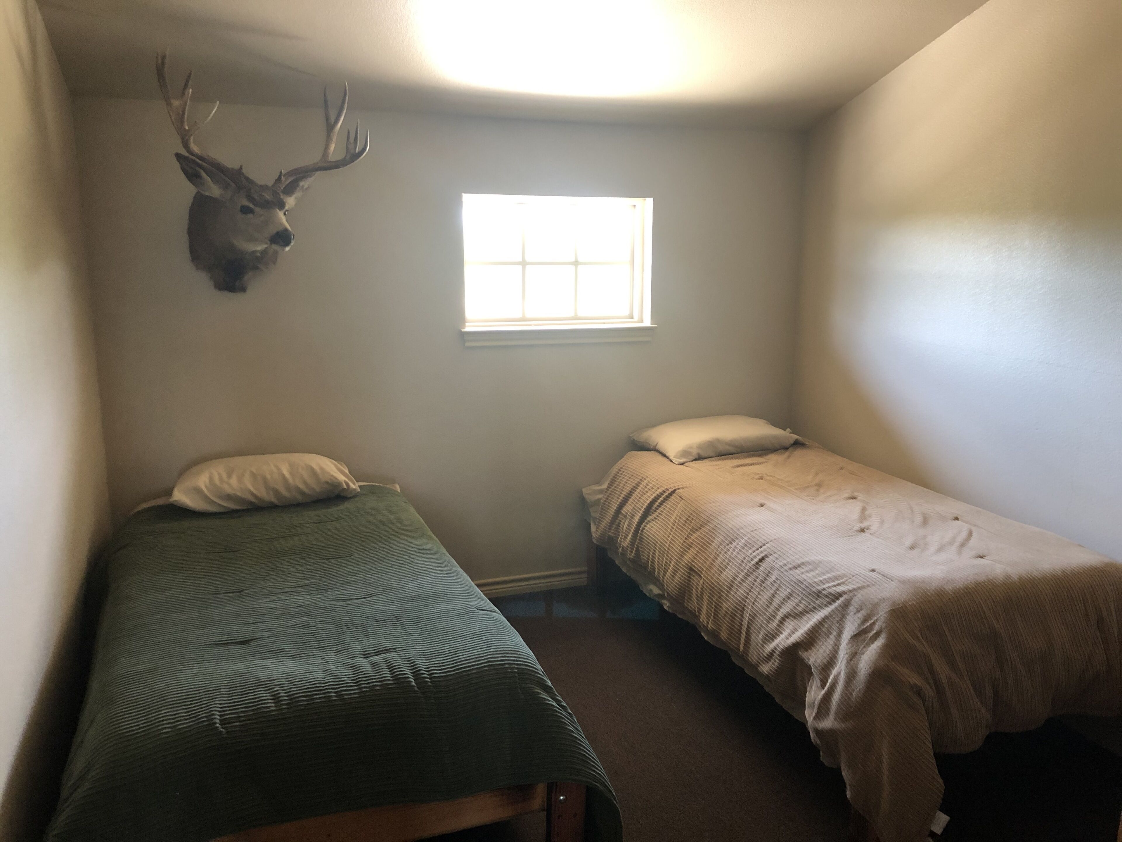 Sweetwater Creek Lodge, up to 35 guests!