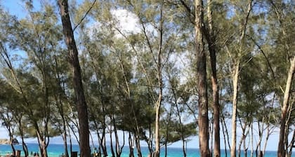 Arraial do Cabo - Suite 05 - Subuai Village - Economic Rent