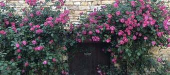 BlanzayAprtment/1bed/Pool/Bbq/Wifi/FreeP