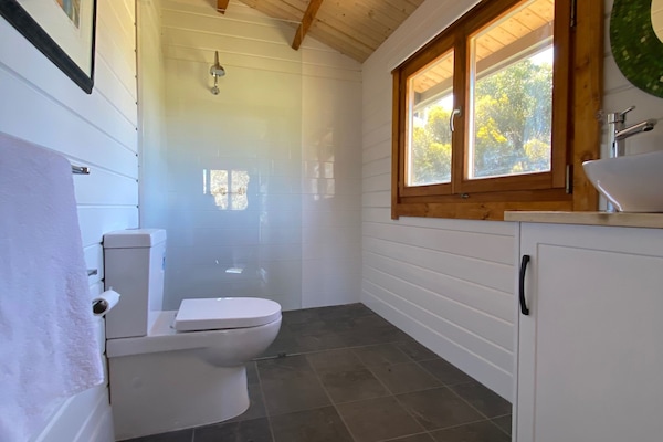 Shower, towels, toilet paper