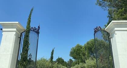 Tranquility among the olive trees