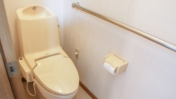Sanitário com bidê, barra de apoio e suporte para papel higiênico.