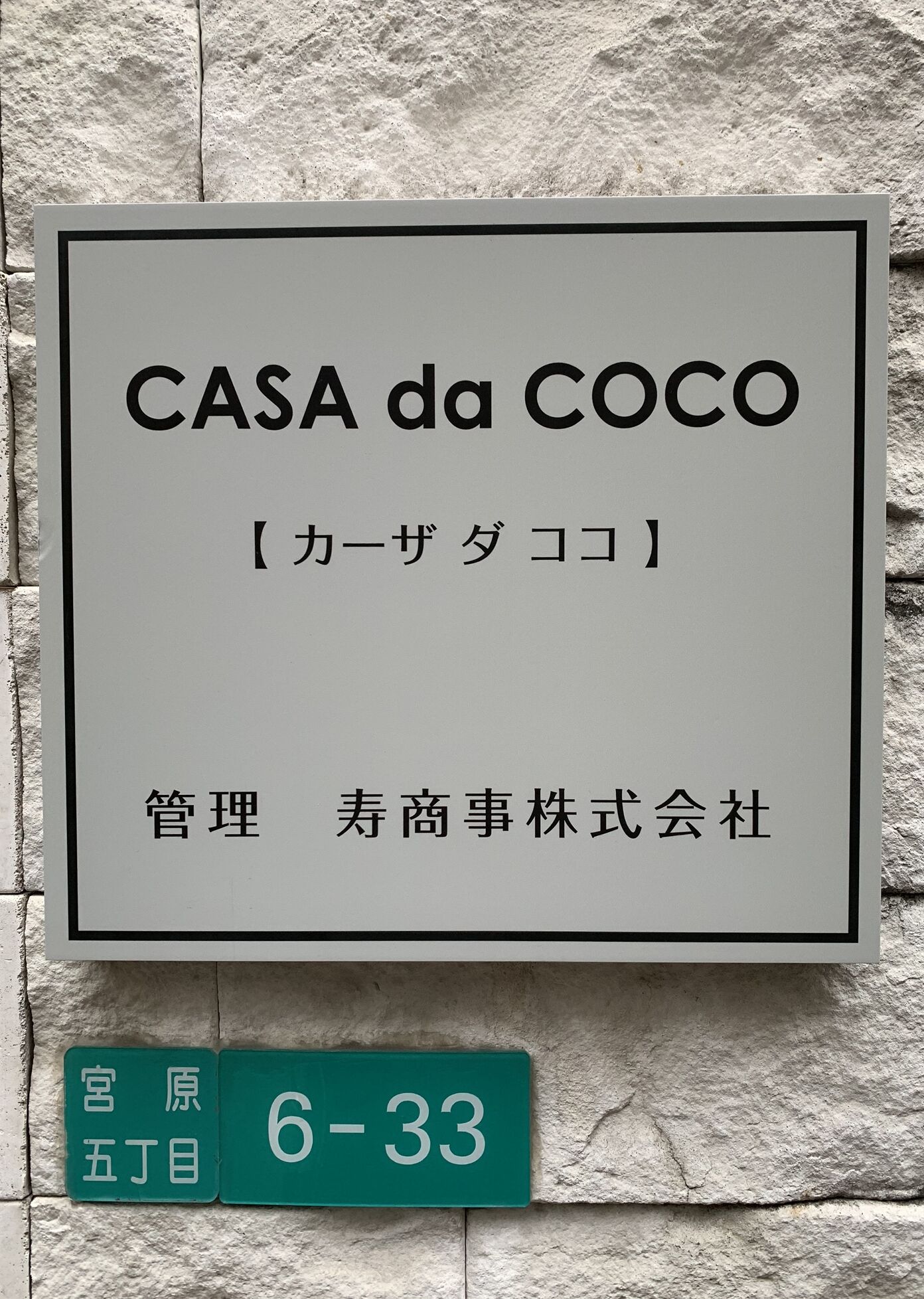 外观