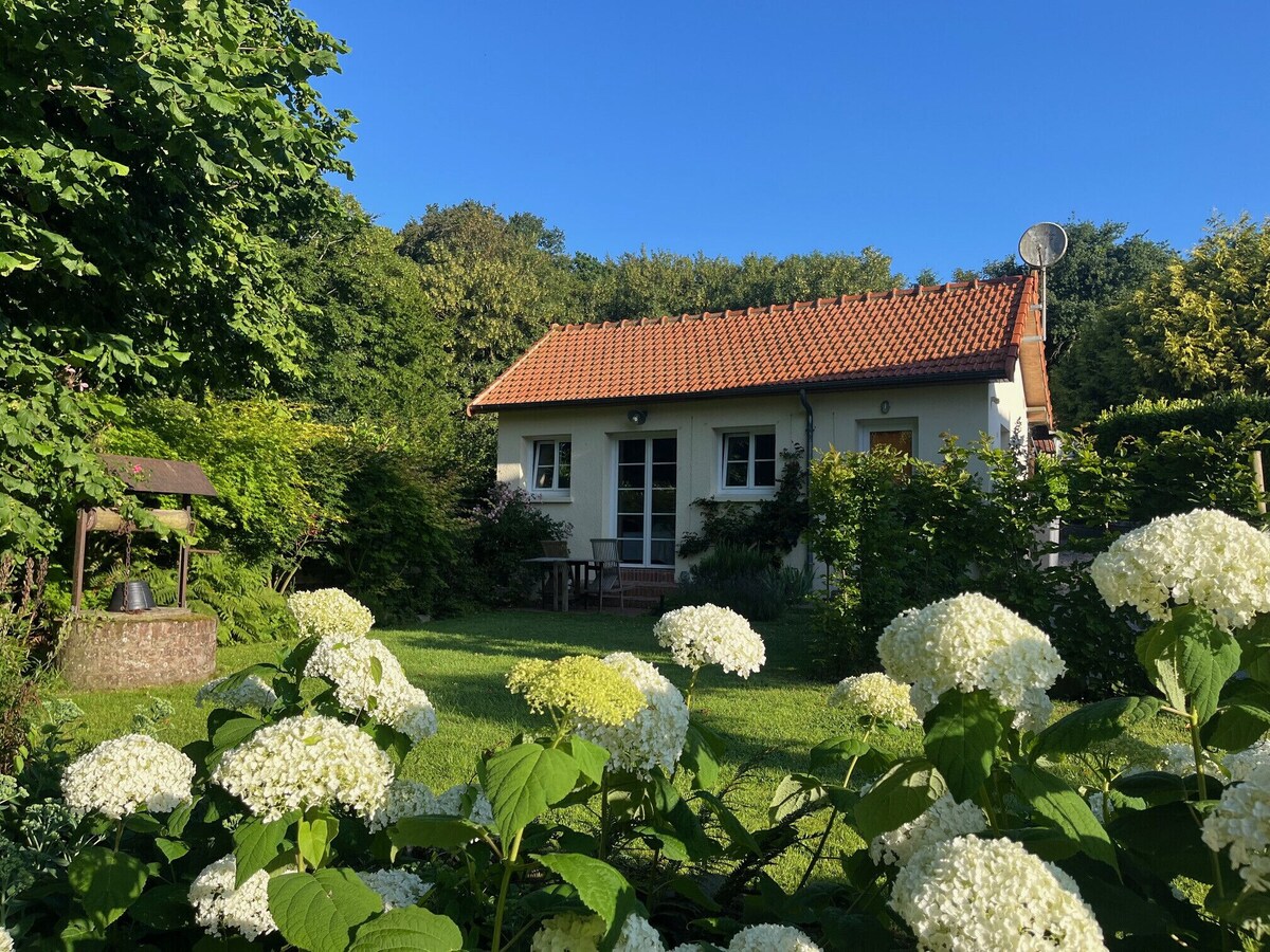 Imagen de perfil del propietario o de la propietaria