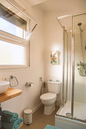 Shower, hair dryer, bidet, towels