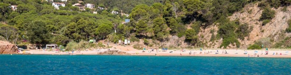 A coastal beach with houses on a hillside, a clear blue sea, and people on the beach.