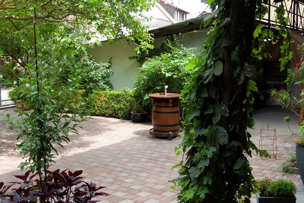 Apartmenthaus "Zum Birnbaum" (Roßtal)-Biergarten