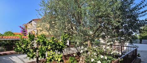 Overnattingsstedets uteområder