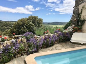 Ein Poolbereich mit Steinmauer und Blumen, umgeben von einer malerischen Landschaft.