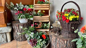 A garden area with wooden planters and a wooden shelf unit. - Lesny Dworek (Zakopane)