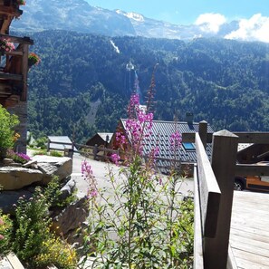 Property grounds - Chalet Skidh**** .  Ideal location. Vaujany Alpe d'Huez. skiing mountain biking (Vaujany)