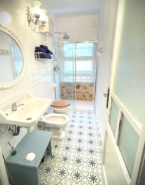 Shower, hair dryer, bidet, towels