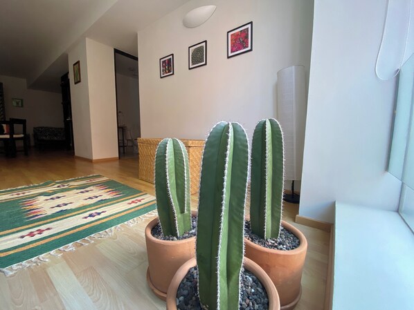 A living room with a wooden floor, a patterned rug, and three potted cacti.