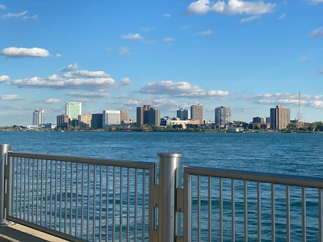 View from property. Comfy Downtown Detroit Loft with free parking.