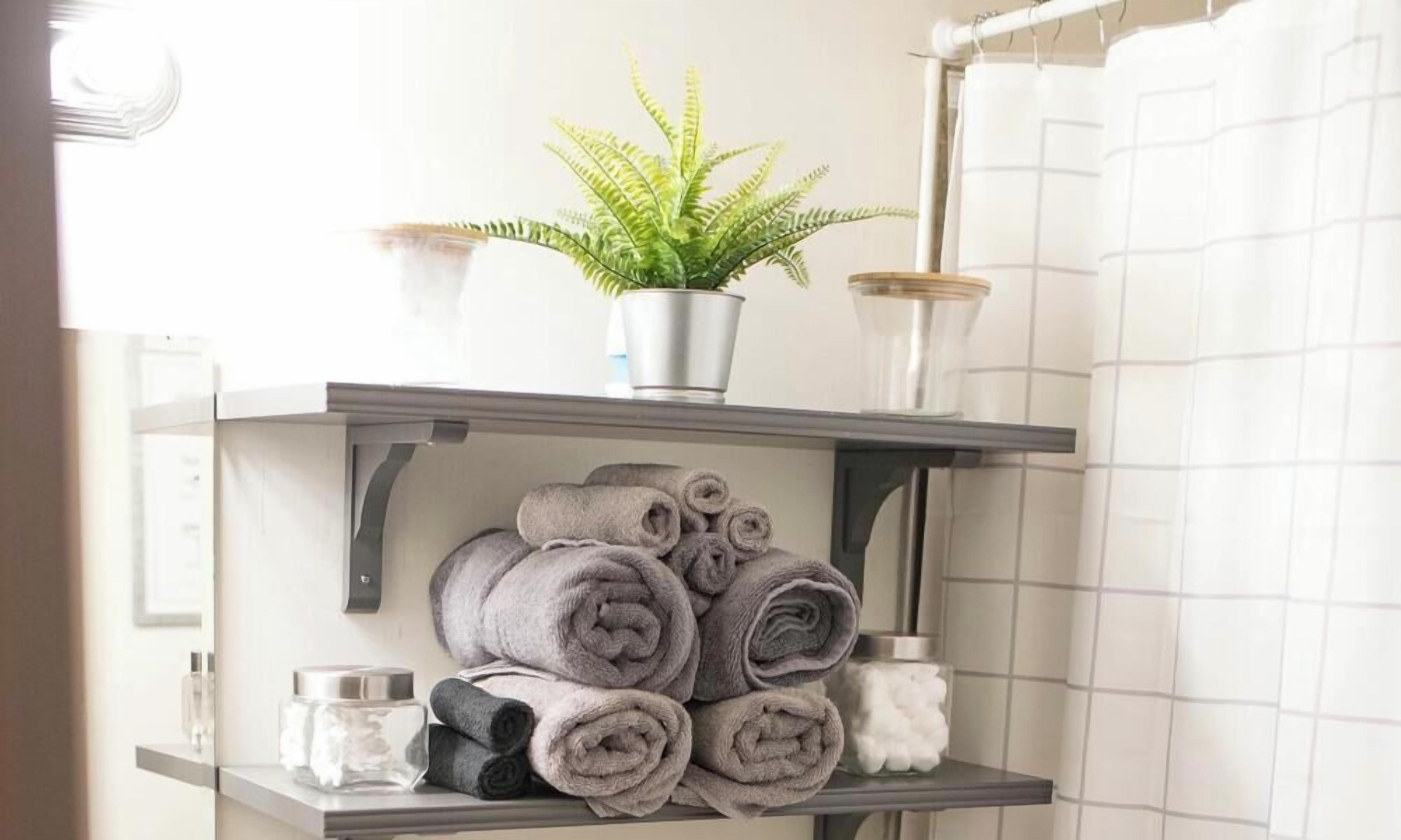 A bathroom with a towel rack holding rolled towels and a potted plant.