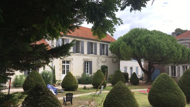 A courtyard with neatly trimmed topiary trees, a gravel path, and a building with a tiled roof and shutters.