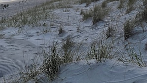 Beach - Gorgeous Ocean Views - 1 min walk to beach access! (Atlantic Beach)
