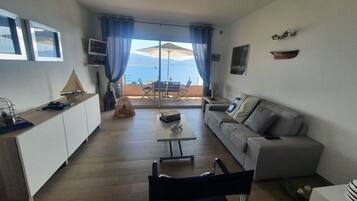 Televisión y libros