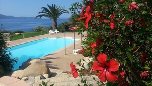 A pool with clear blue water, surrounded by rocks and a hibiscus plant.