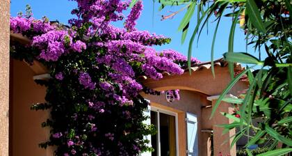 Di Felicita - Villa avec piscine et proche plage