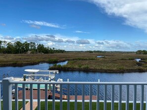 Property grounds - Estuary Oasis (Crystal River)