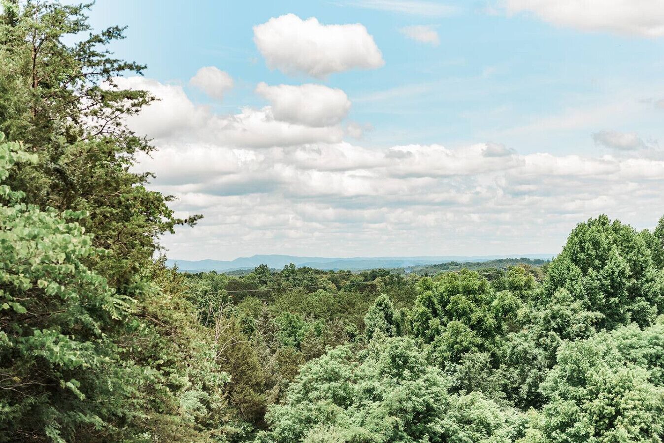 Un paysage verdoyant, avec une végétation luxuriante et des montagnes lointaines, sous un ciel partiellement nuageux.