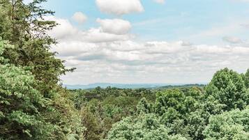 Un paysage verdoyant, avec une végétation luxuriante et des montagnes lointaines, sous un ciel partiellement nuageux.