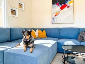 A dog sitting on a blue sofa in a room with a painting on the wall and a small table. - Waterfront Cottage & Dock w/ Beautiful View - 5MM (Rocky Mount)