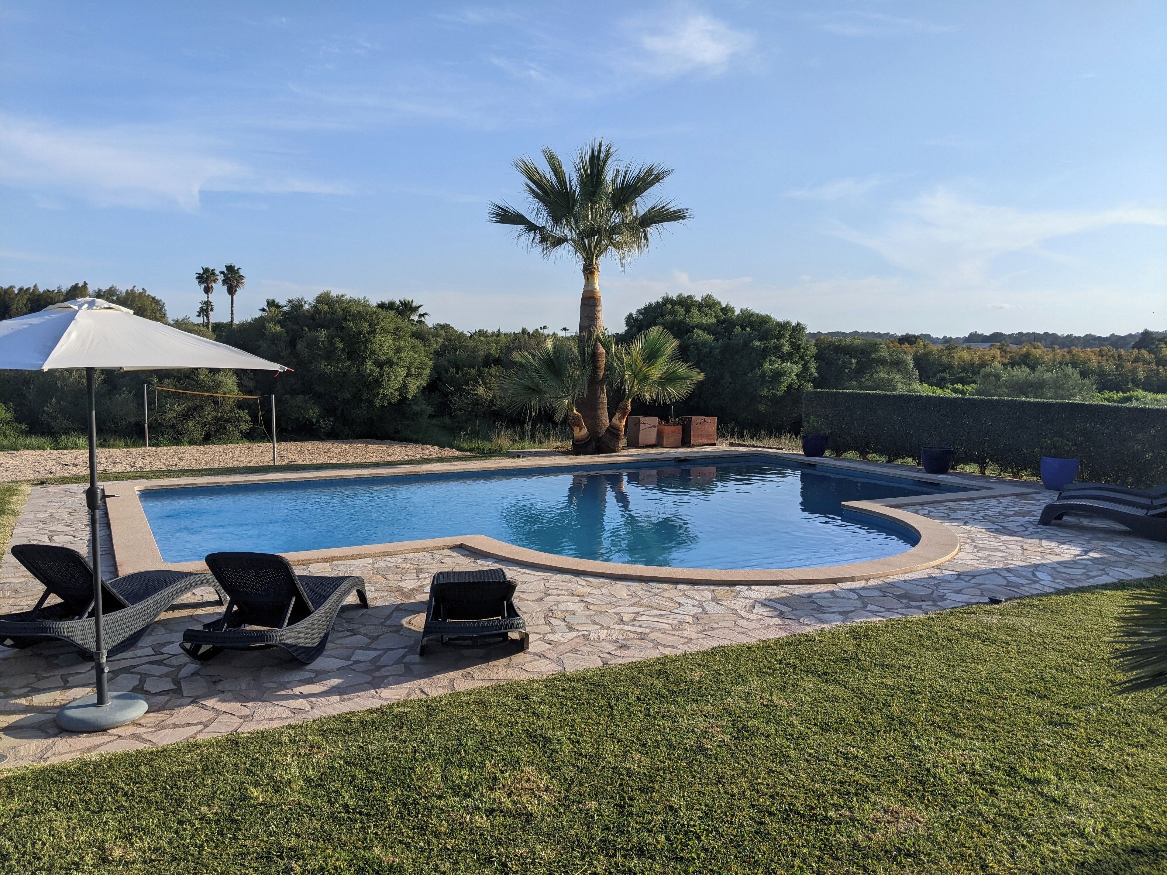 A swimming pool with lounge chairs and a pergola.