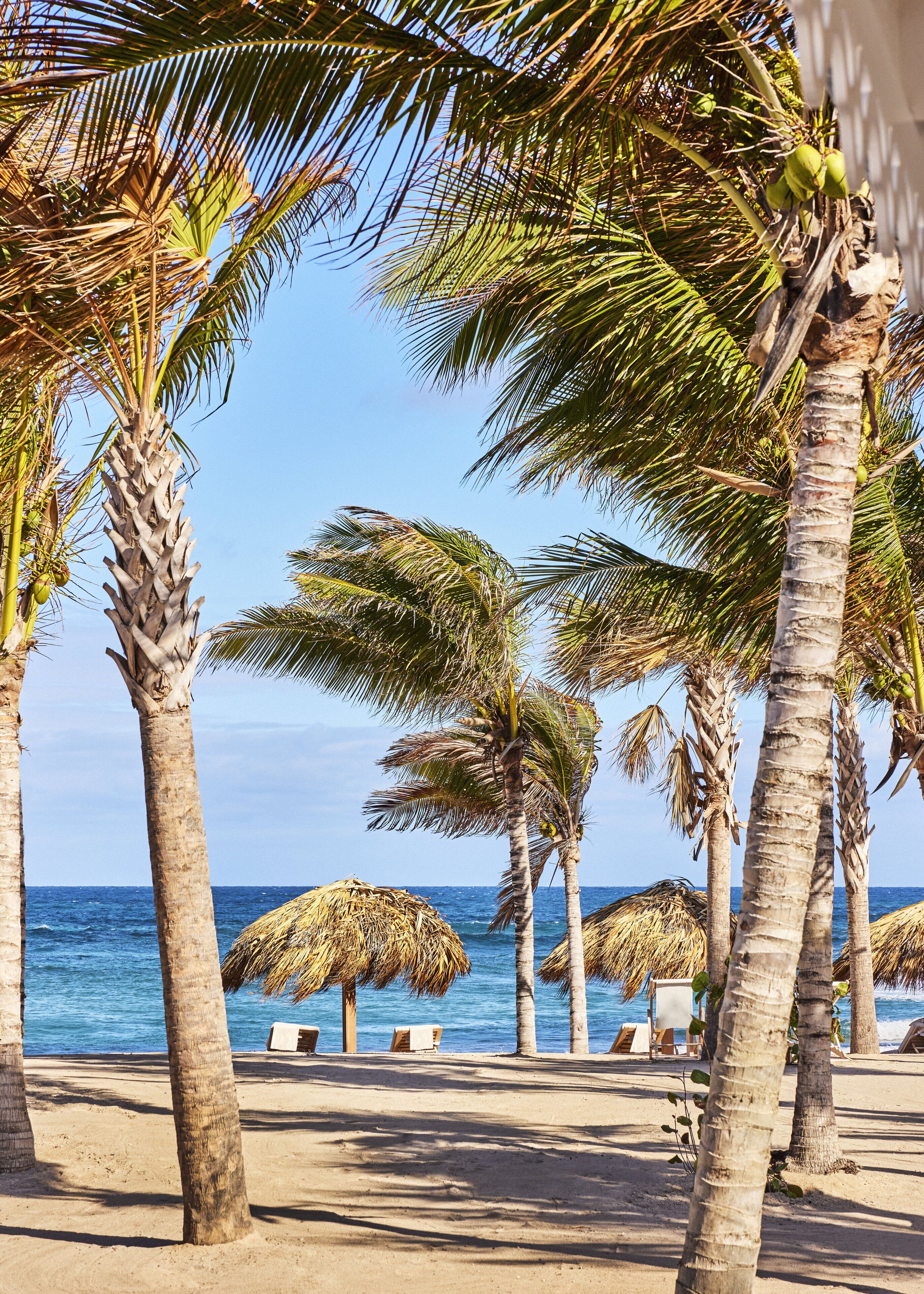 Plage, sable blanc, snorkeling, bar de plage