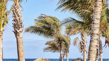 Plage, sable blanc, snorkeling, bar de plage