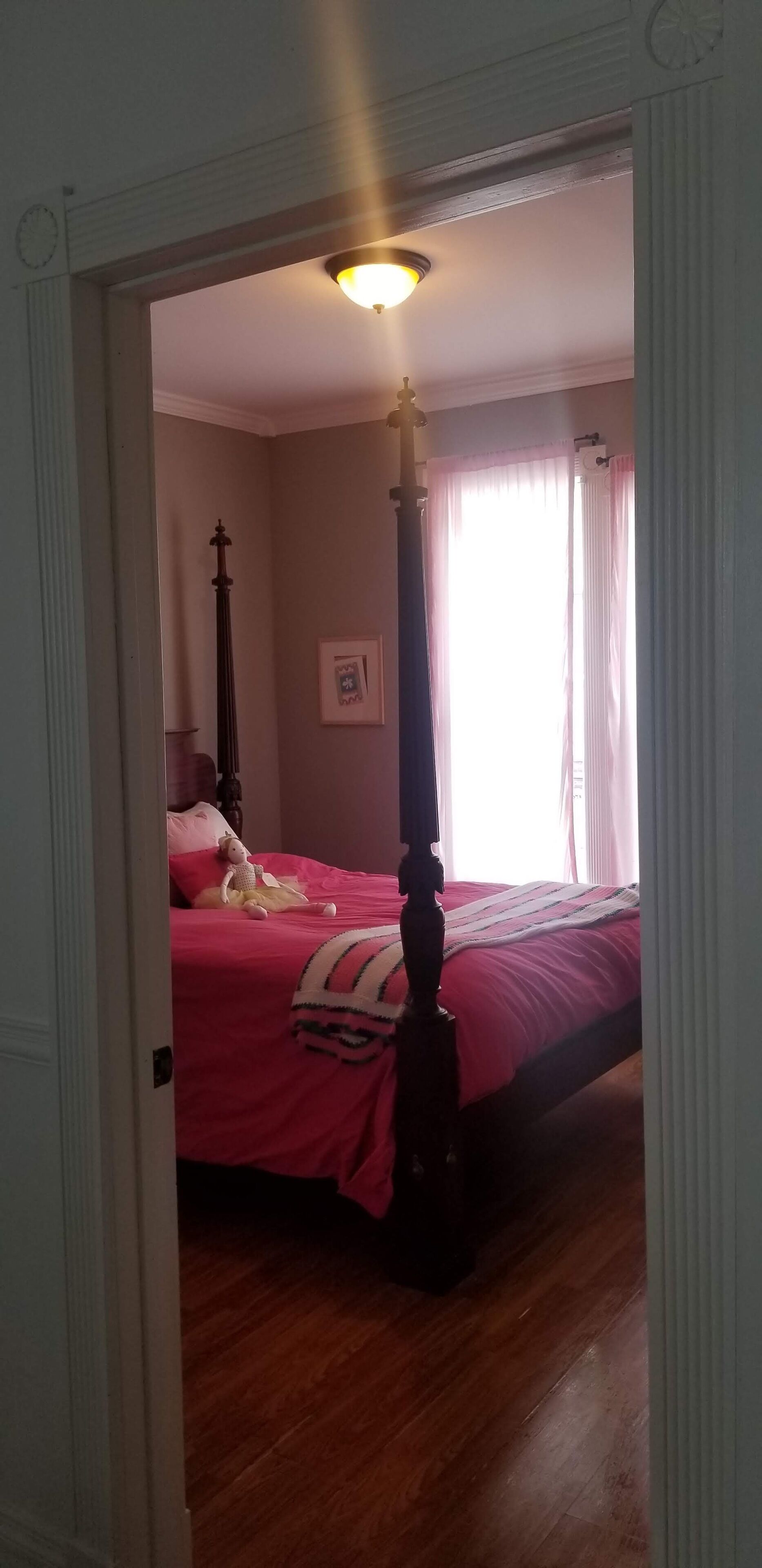 Un dormitorio con cama con dosel, suelo de madera y una lámpara en el techo.