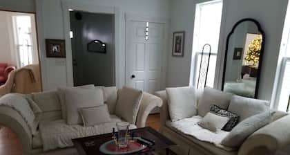 Downtown GR apartment on Medical Mile, covered front porch cross from Coit Park