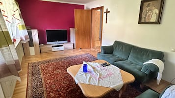 TV, fireplace, books