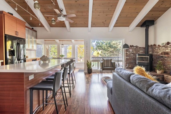 Smart-tv, pejs, videospil, bøger