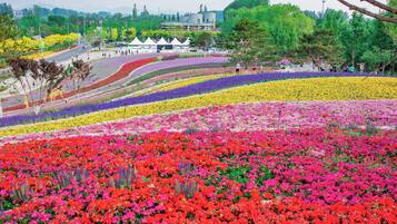 Un amplio espacio al aire libre con diversos macizos de flores coloridas y un edificio al fondo.