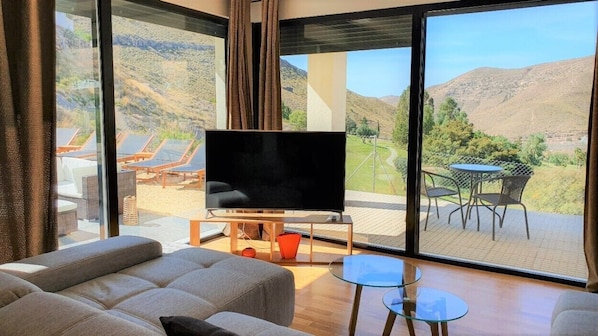 TV