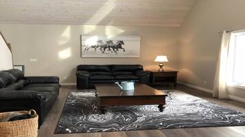 TV, fireplace, DVD player, books