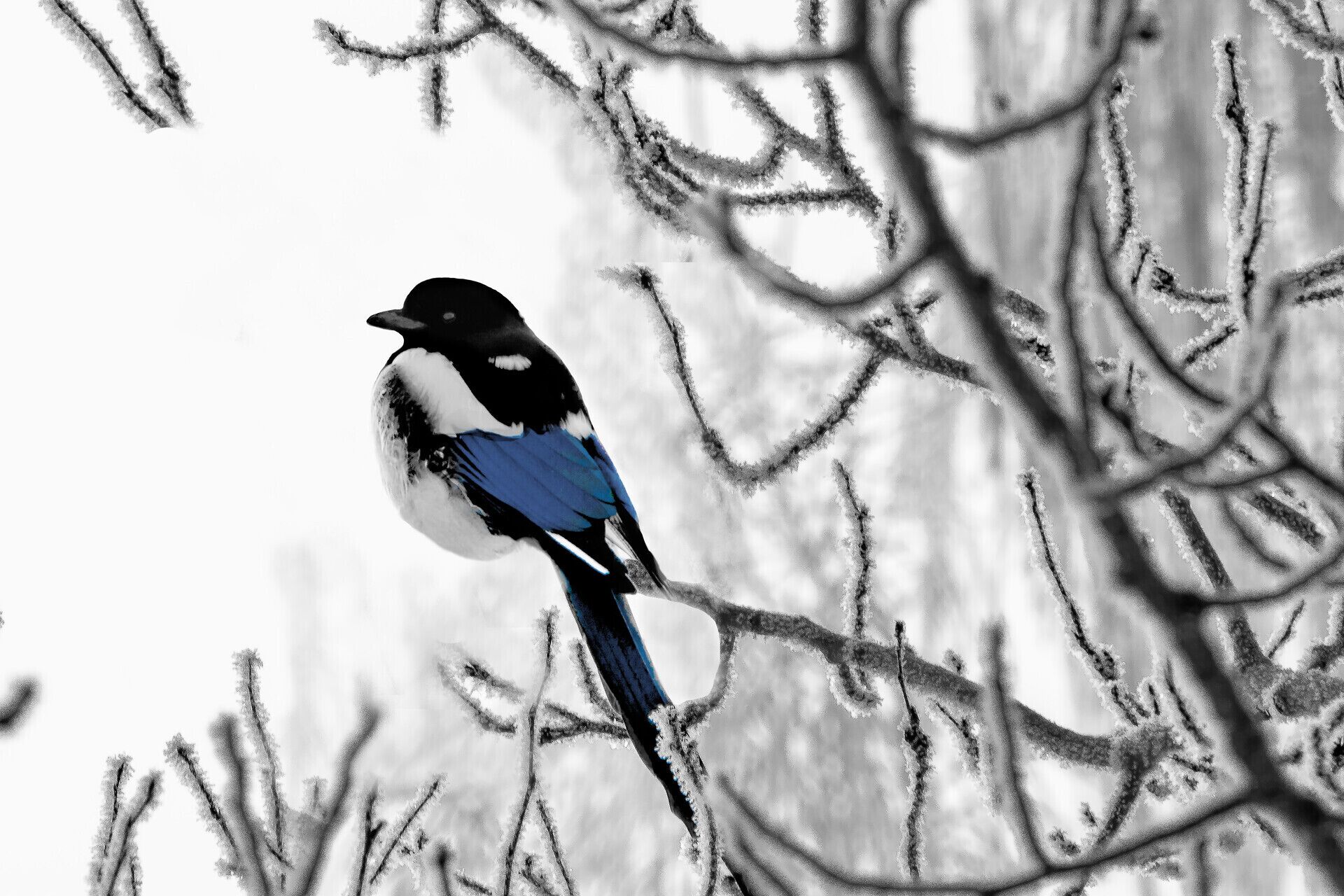 A bird perched on a branch.
