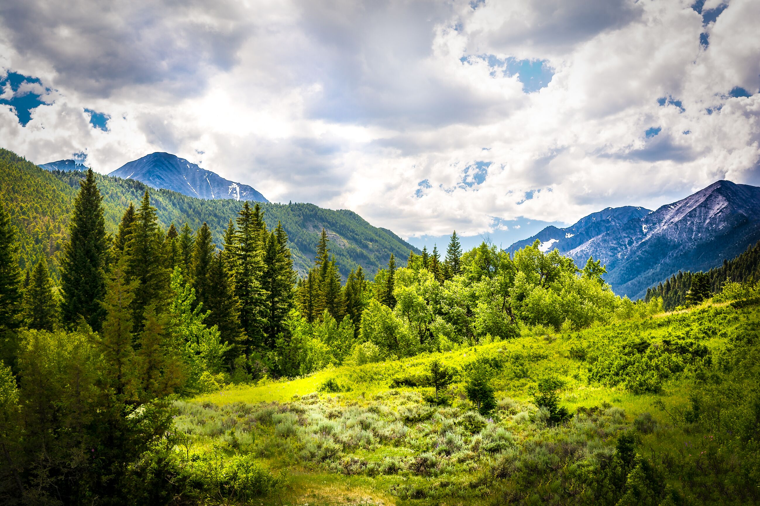 Un paysage montagneux, avec de vastes forêts et un ciel dégagé.