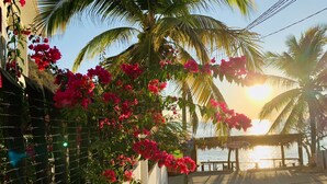 A coastal street with a white building, a palm tree, and a sunset. - Casa El Delfin, 1st Floor - Main Level- Estacahuite (Estacahuite)