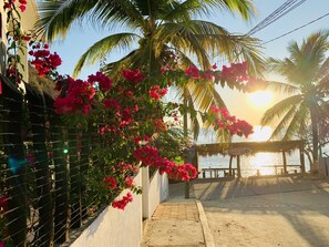 Property grounds - Casa El Delfin, 1st Floor - Main Level- Estacahuite (Estacahuite)