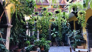 Teras/patio