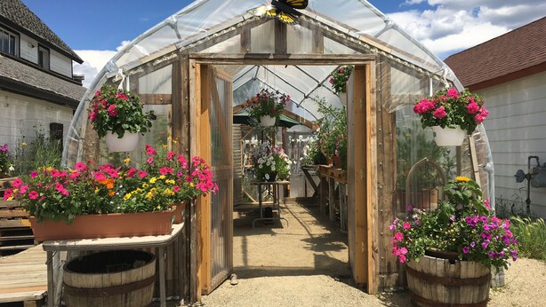 A greenhouse with a transparent roof, wooden benches, and various potted plants. - The Heart of Fraser (Fraser)