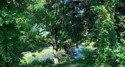 Upstate NY: Private,Newly renovated 3 bed/2bath home close to Hudson+Widham, NY