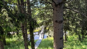 Un paseo marítimo de madera que atraviesa un área boscosa, con una vista despejada de una masa de agua al fondo.